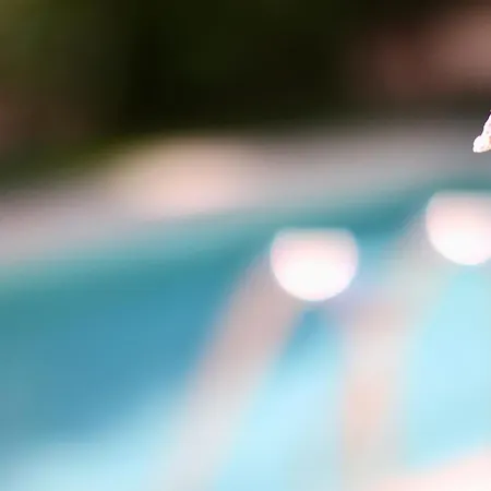 ヴィラ Mediterranean Luxury