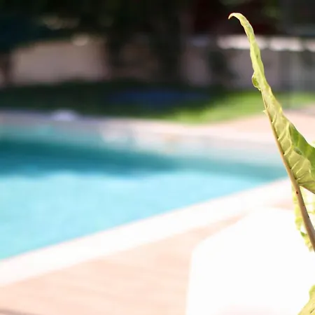 Mediterranean Luxury